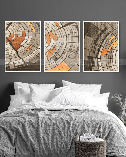 Cut & Core – Tree Ring Canvas Set of 3