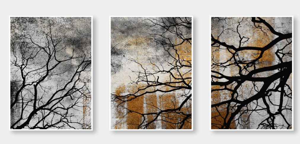 Dark Branches – Moody Nature Canvas Set of 3