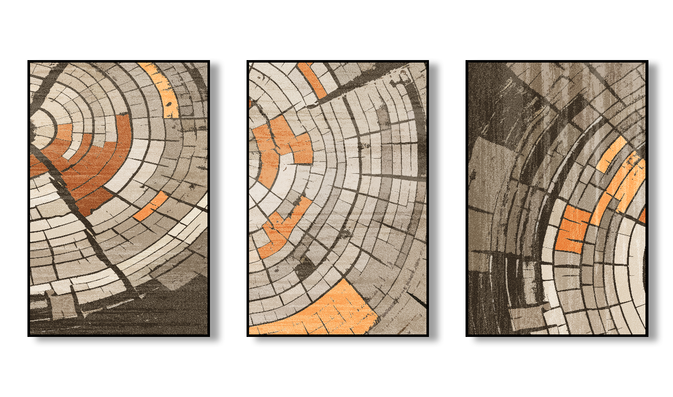 Cut & Core – Tree Ring Canvas Set of 3