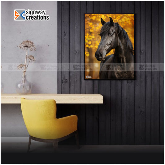 Majestic Black Horse