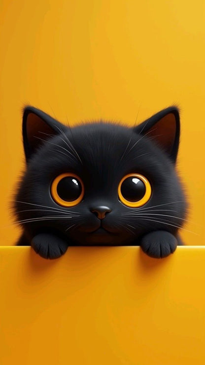 Cute Black Kitten