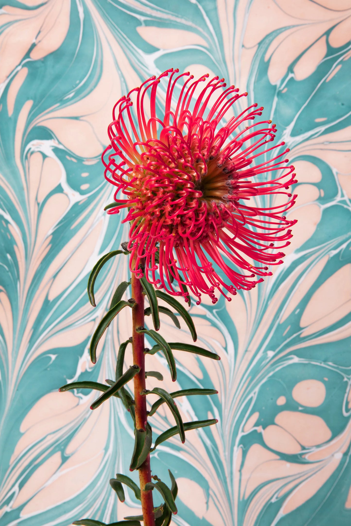 Marbled Elegance: Red and Teal